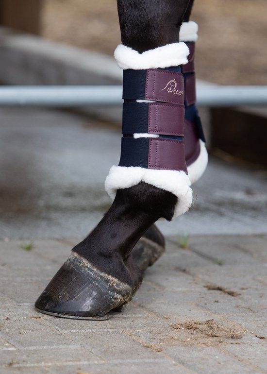 Harry’s horse flextrainer air Denici Cavalli maroon