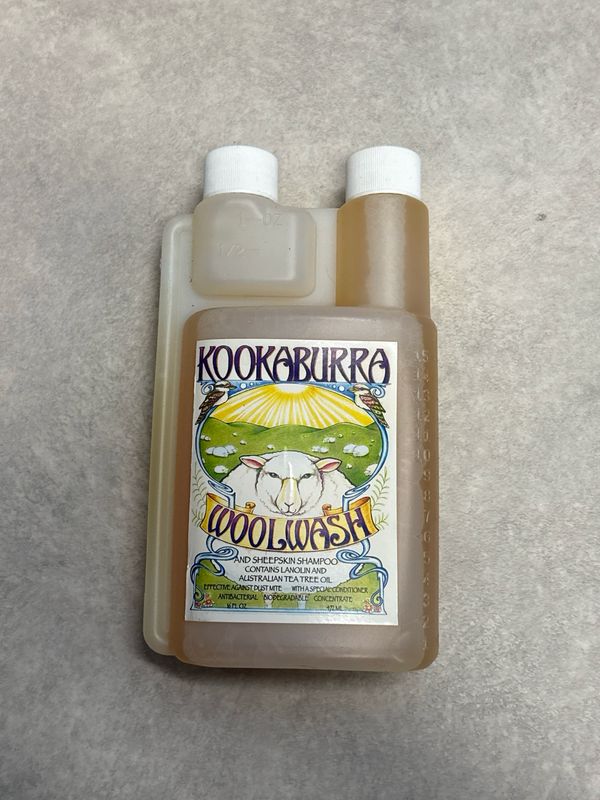 Kookaburra woolwash