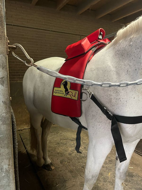 Niagara Equissage rood compleet Niagara Equissage rood compleet