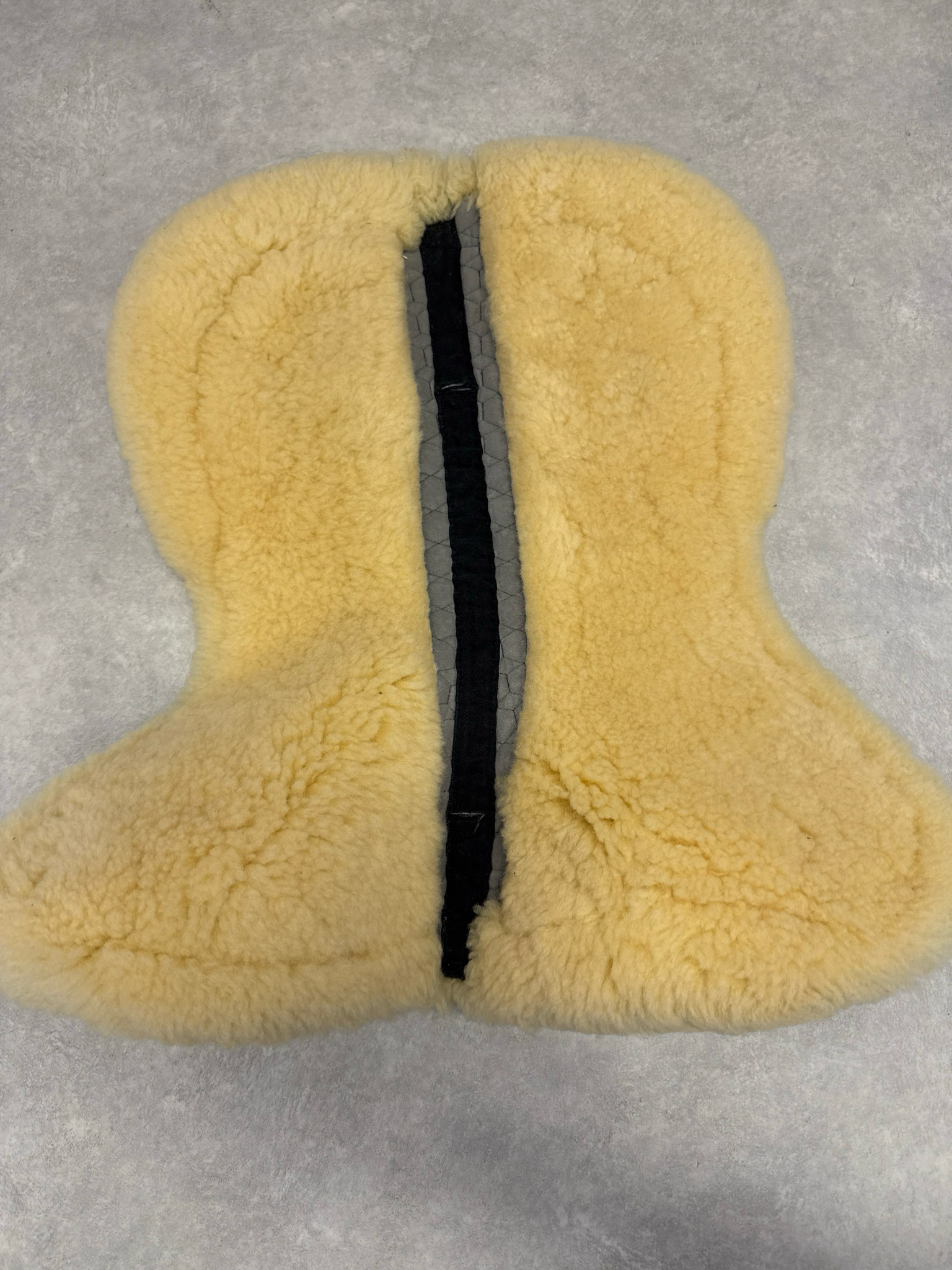 Mattes bontje dressuur ruggengraatvrij full