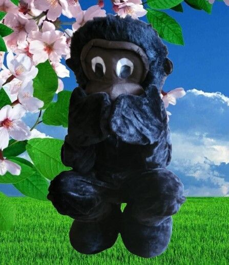 Mascotte 30 minuten