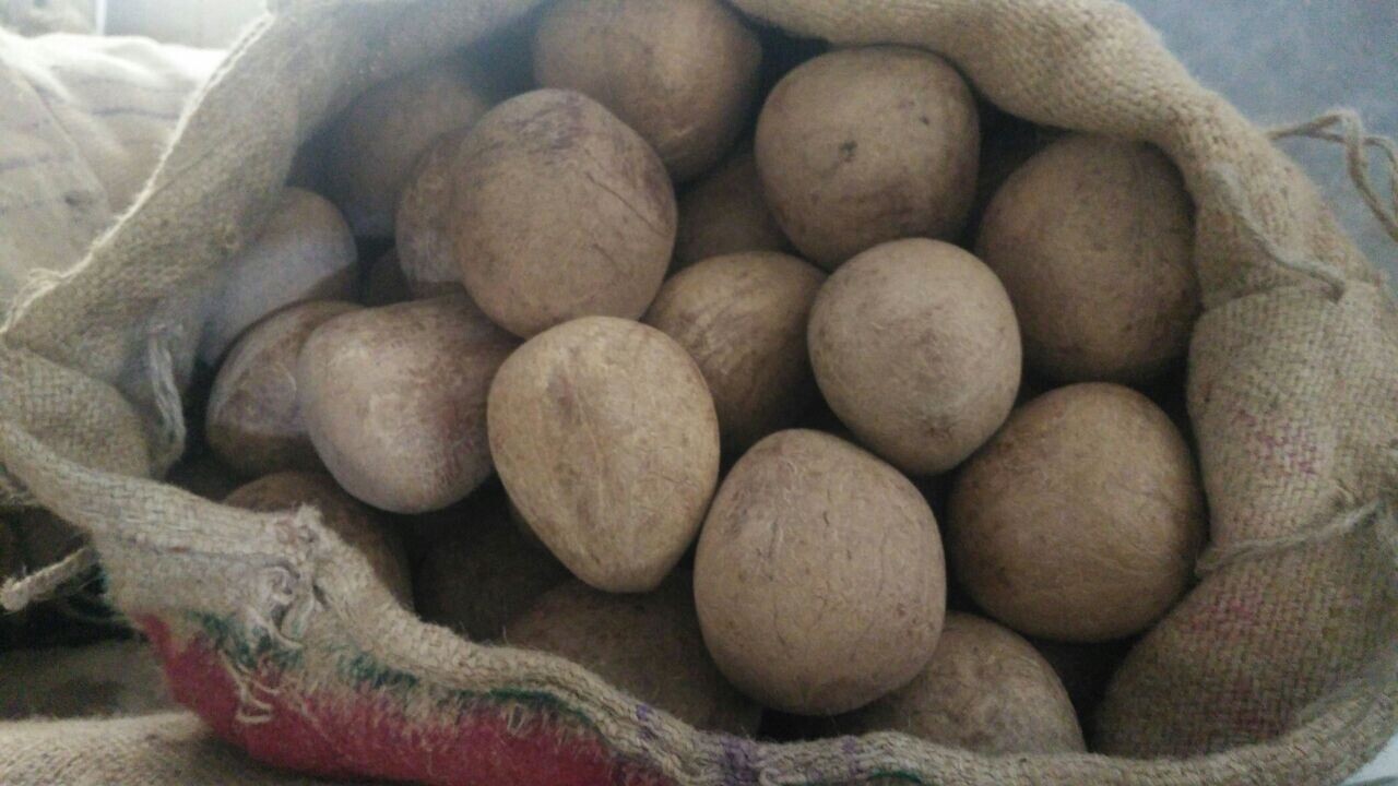 COCONUT BALL COPRA