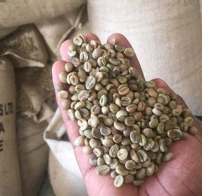 Green Coffee Arabica