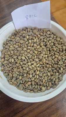 Green Coffee Robusta
