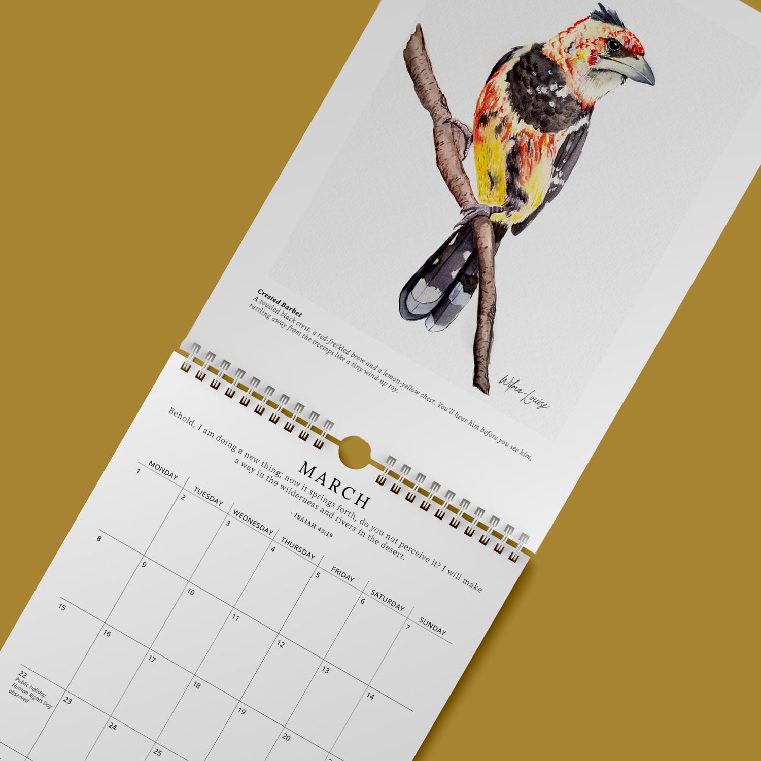Birds in My Garden 2027 Calendar | A4 Wall Calendar Birds in My Garden 2027 Calendar | A4 Wall Calendar