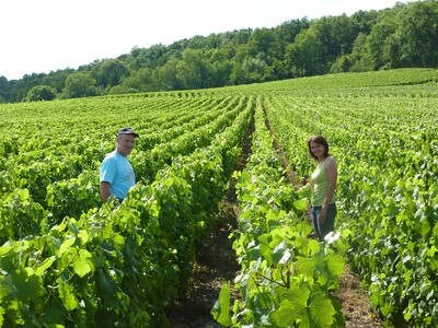 Domaine Barbier-Gosset