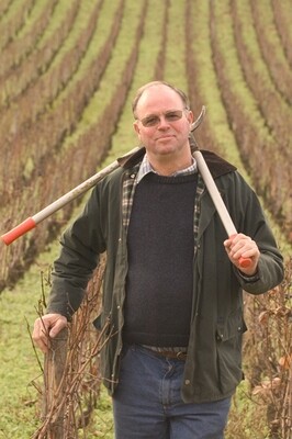 Domaine Remoriquet