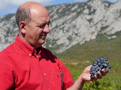 Domaine Pouderoux