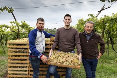 Azienda Agricola Gini