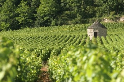 Bourgogne