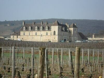 Côte de Nuits