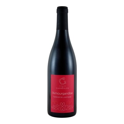 Domaine les Capréoles - Beaujolais Lantignié &quot;L&#39;Amourgandise&quot; 2023