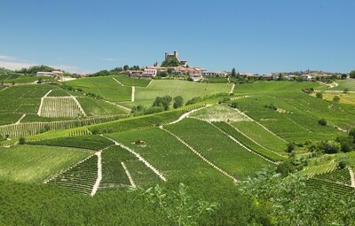 Piemonte: La Dolce Far Niente