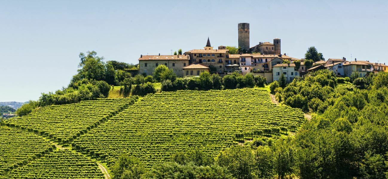 B(arolo) B(runello) B(arbaresco)