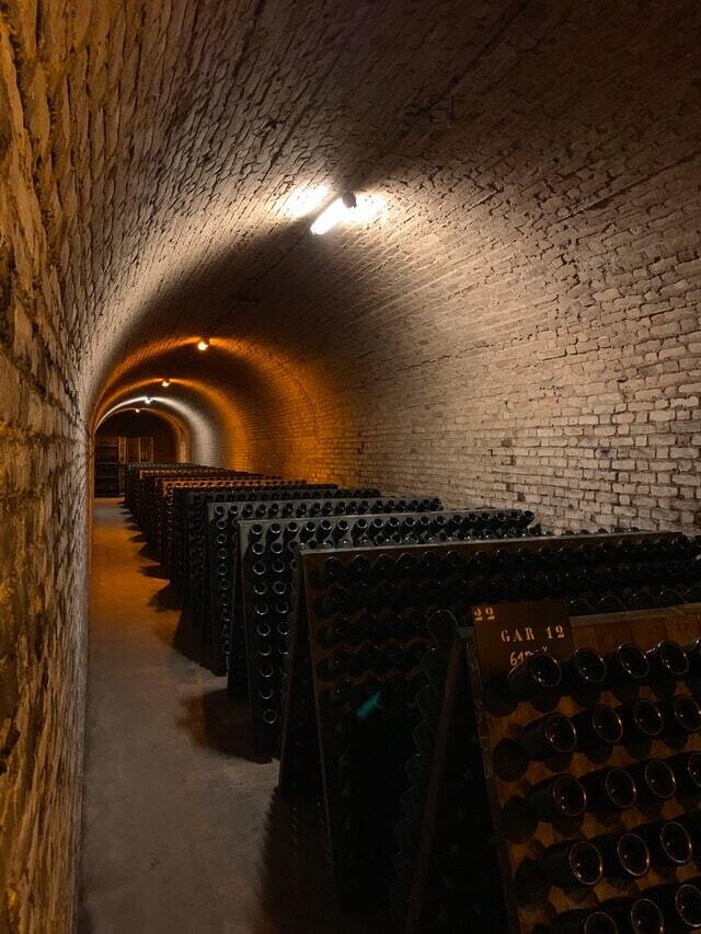 Champagne Blanc de Blancs
