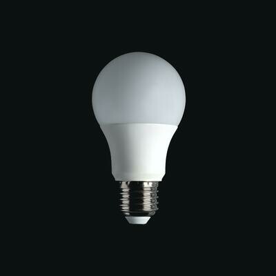 15W LED Bulb B22