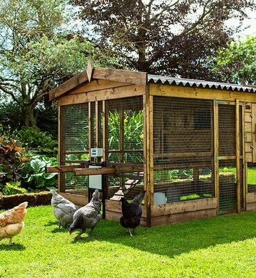 Chickenguard Combipakket: zelf-sluitend systeem PREMIUM
