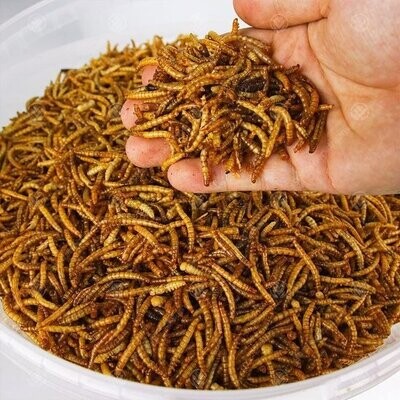 Gedroogde meelwormen 25L bulkzak