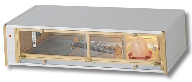 Kuikenopfokbox voor ca. 80-90 kuikens, 122x60x29cm