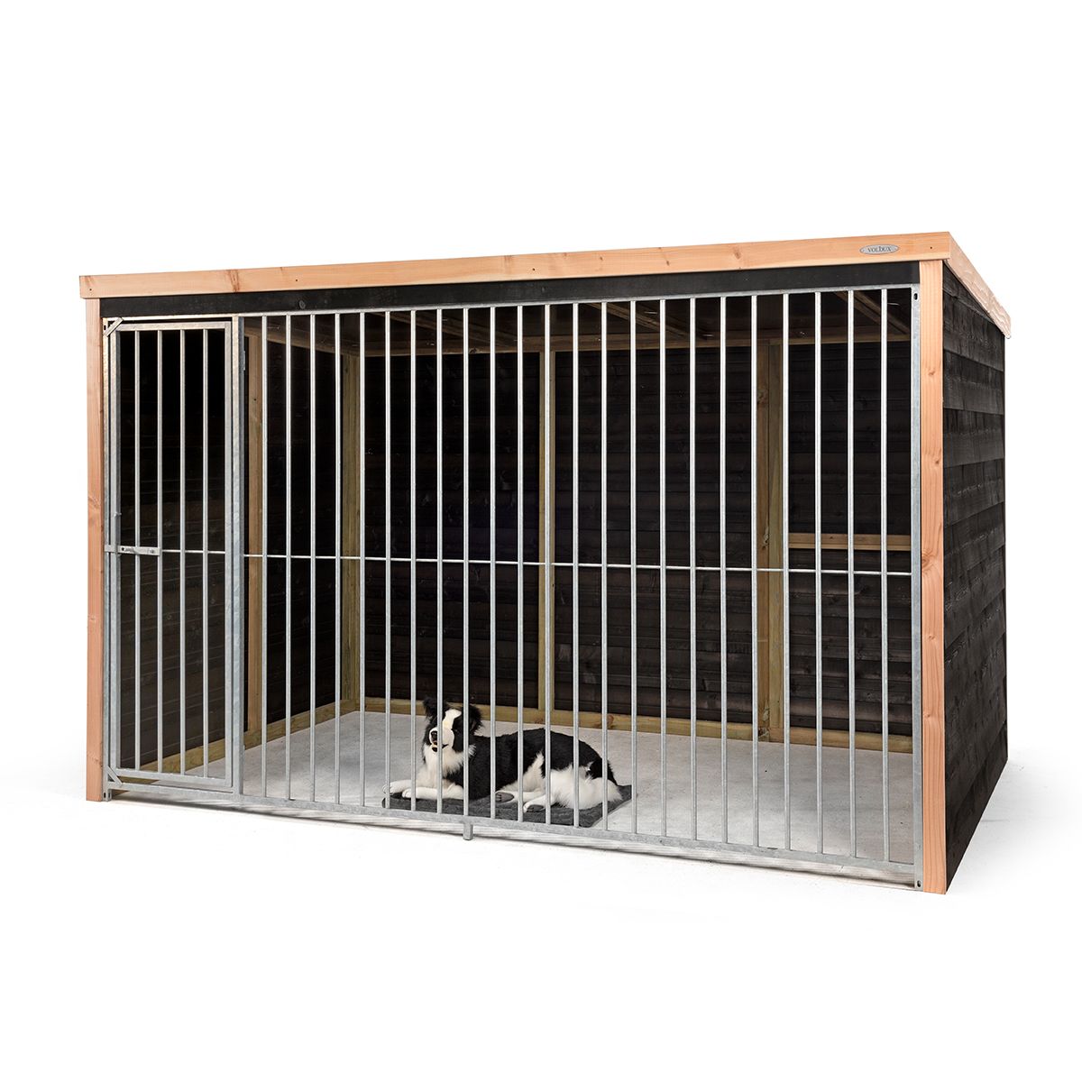 Hondenkennel Bas Hondenkennel Bas