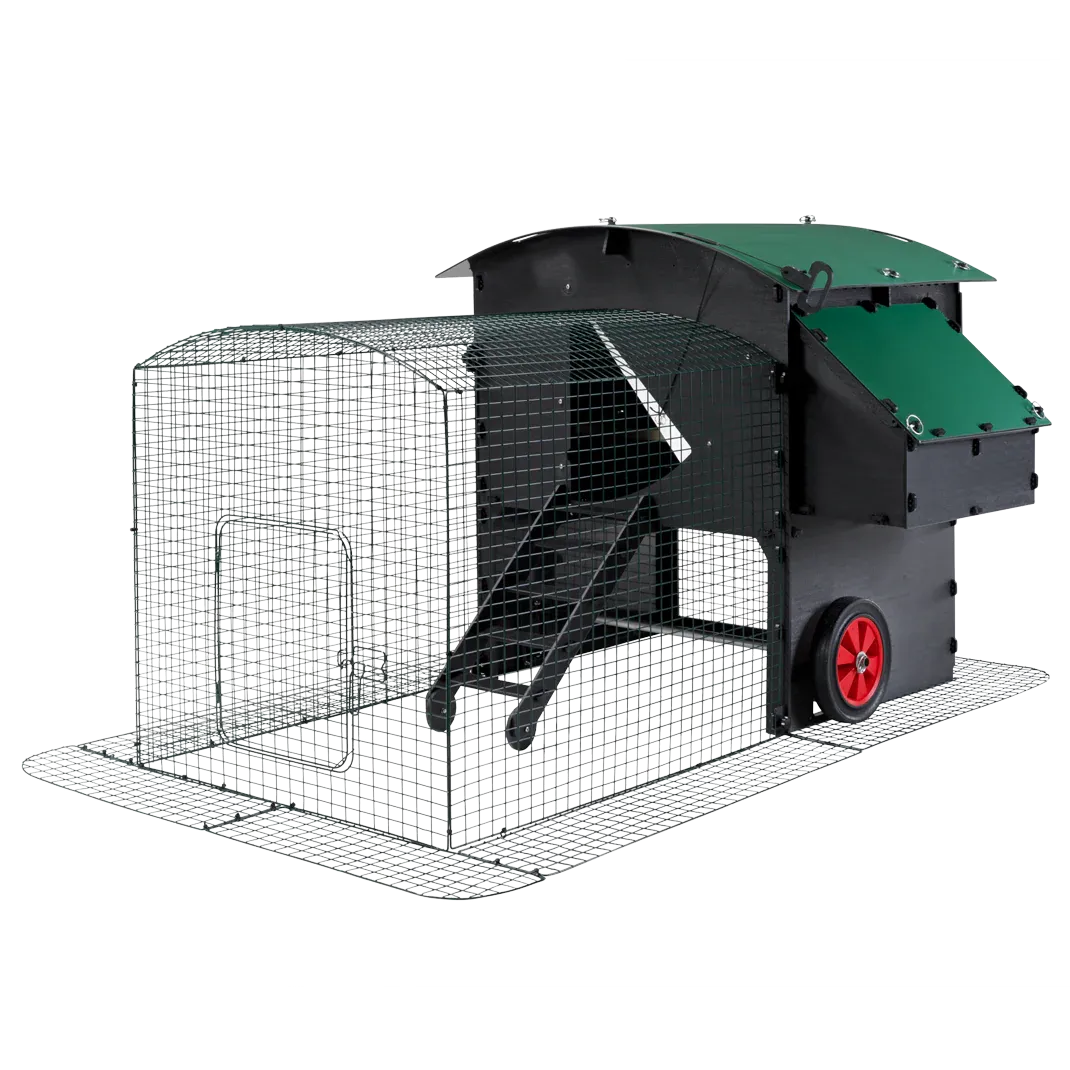 Nestera: 2m kippenren voor verhoogd breed kippenhok