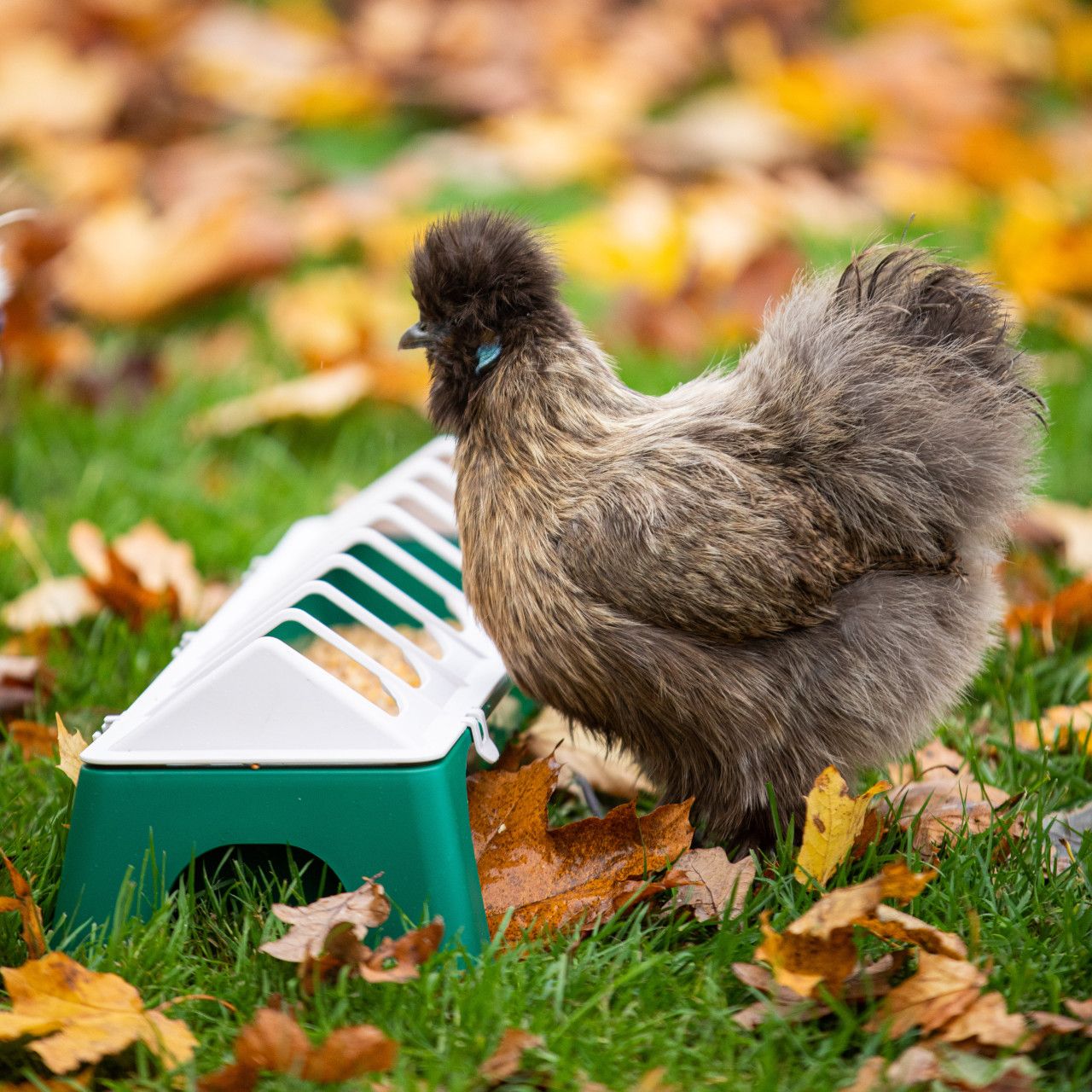 kunststof voerbak 50cm