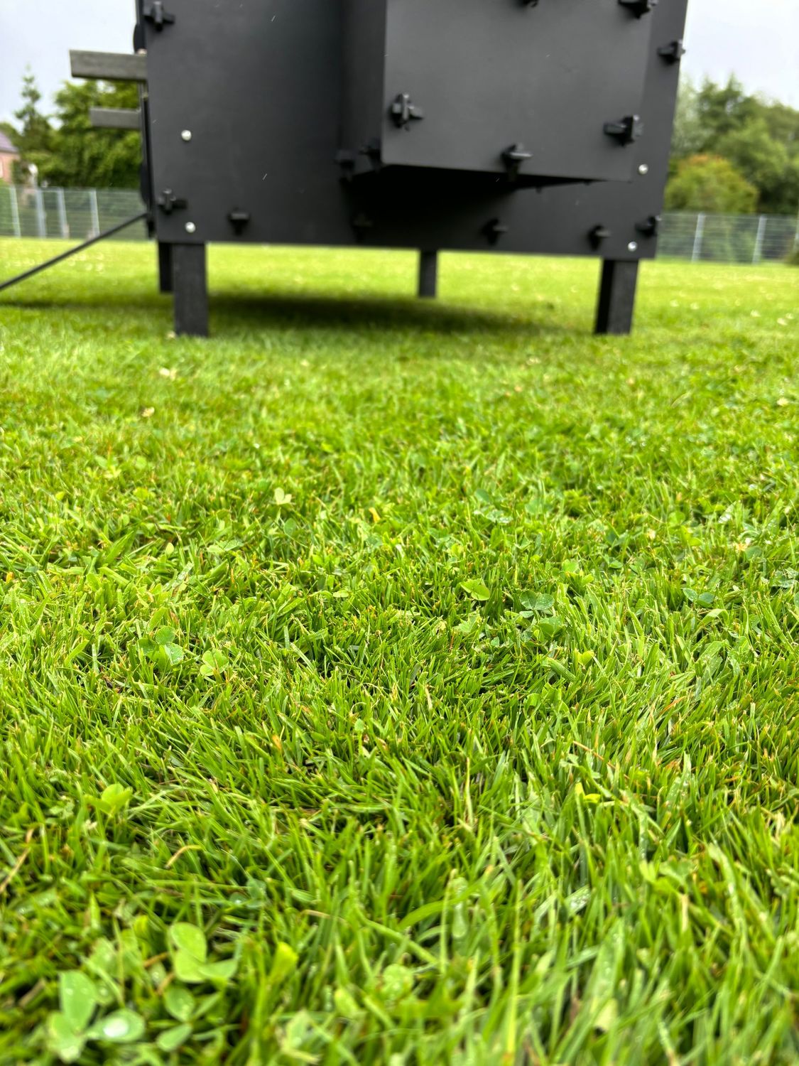 Pluverdi kippenhok Milan (10-20 kippen)