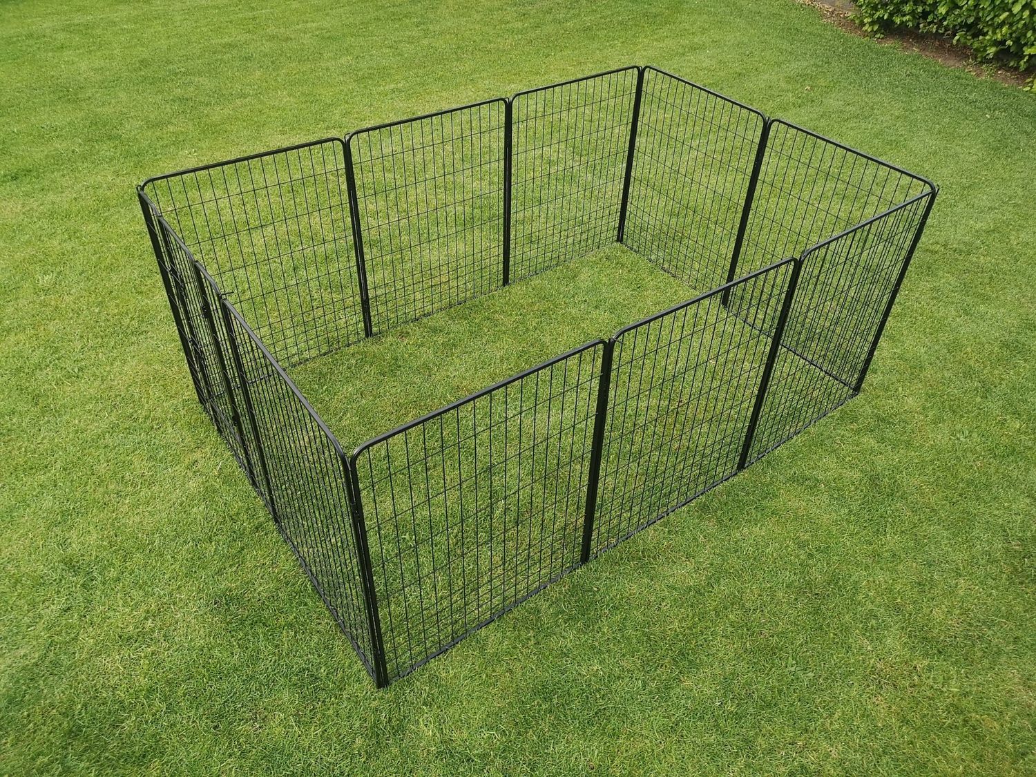 Robuuste kippenren 100XXL (800 cm omtrek)