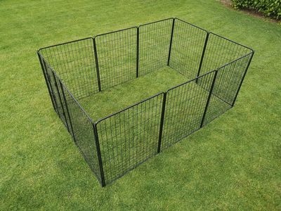 Robuuste kippenren 100XXL (800 cm omtrek)