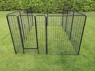 Robuuste kippenren 100XXL (800 cm omtrek)