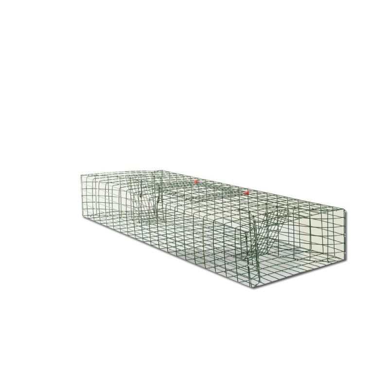 Muskusrat vangkooi Muskusrat vangkooi