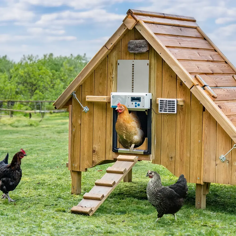 Chickenguard All In One SOLAR Hokopener, kleur: grijs