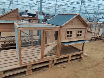 Kippenhok palace max Kippenhok palace max