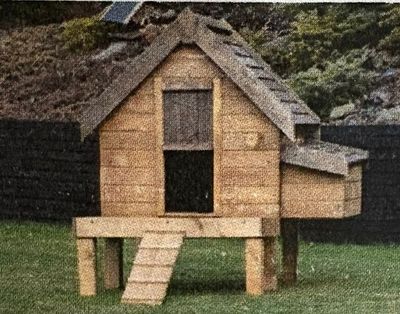 Kippenhok Stella met terras klein Kippenhok Stella met terras klein