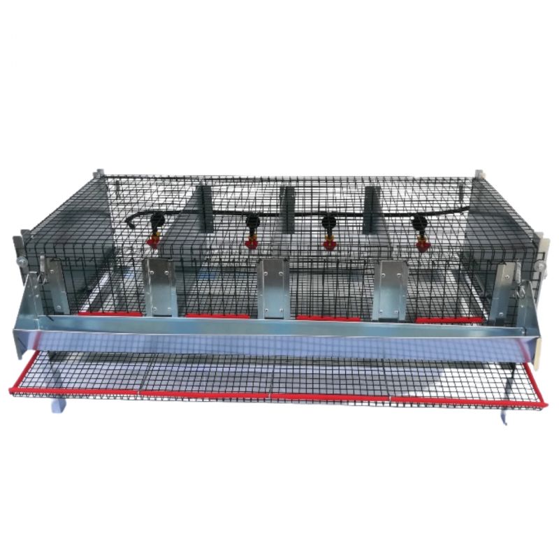 Legkooi 4 compartimenten Legkooi 4 compartimenten