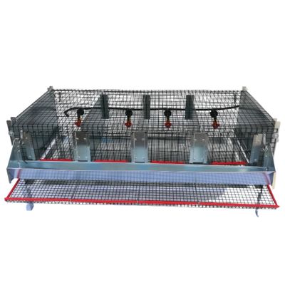 Legkooi 4 compartimenten