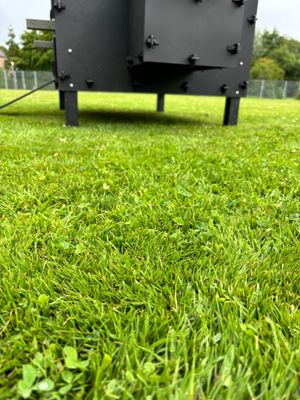 Pluverdi kippenhok Milan (10-20 kippen)