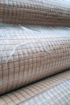 volieredraad 19x19mm dikte 1.45 volieredraad 19x19mm dikte 1.45