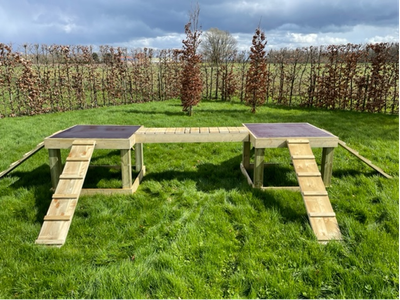 speeltuig voor geiten : 2 terrassen met loopplanken