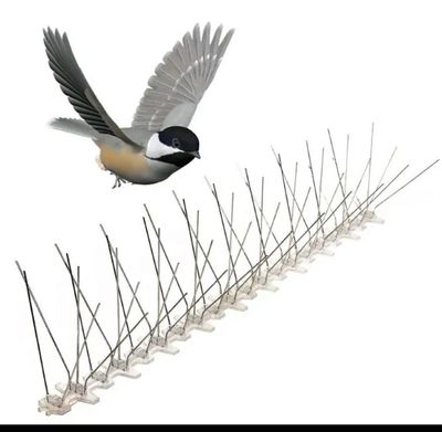 Vogelafweer