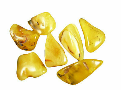 Ambre Jaune Ambre Jaune