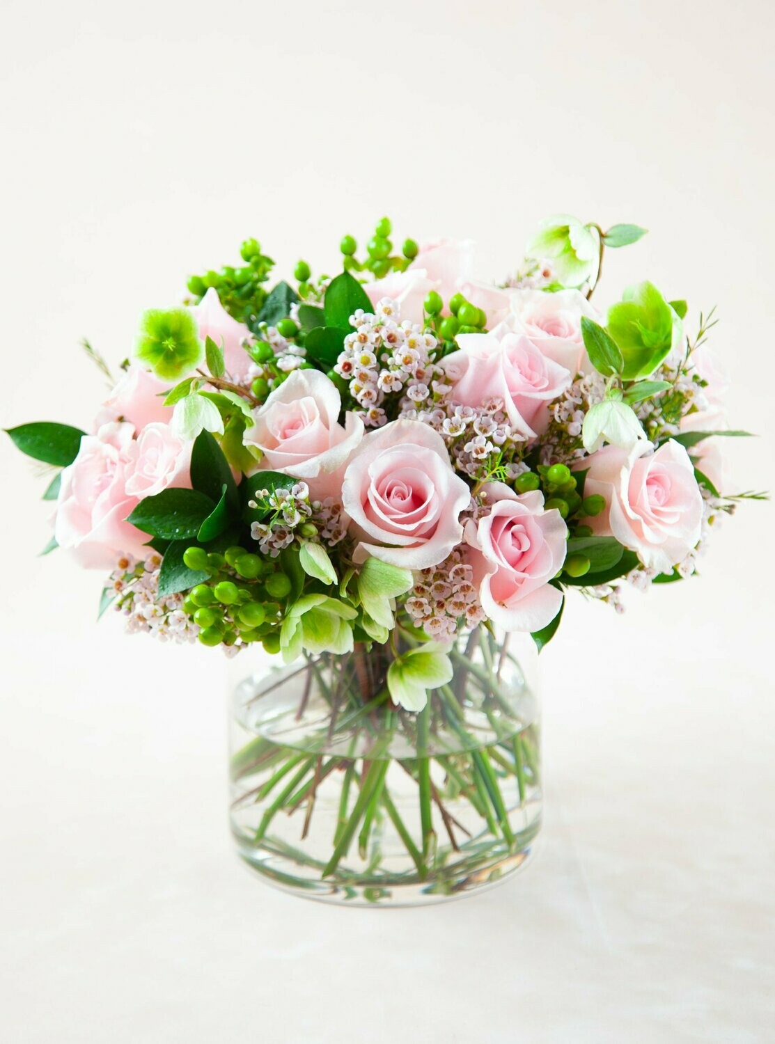 ROSE POMPON