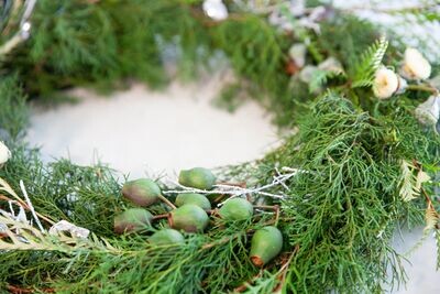 Christmas Flowers