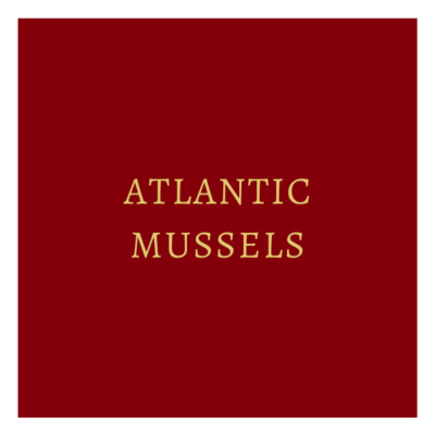 Atlantic Mussels