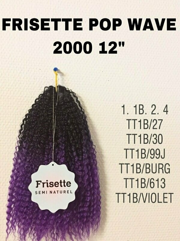 FRIZET 2000 12''