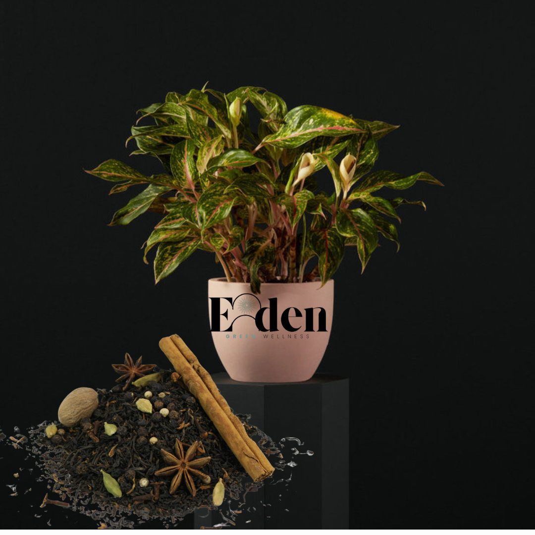 Eden Green Farms Tea | Ashwaghanda Root &amp; Elderberry Tea