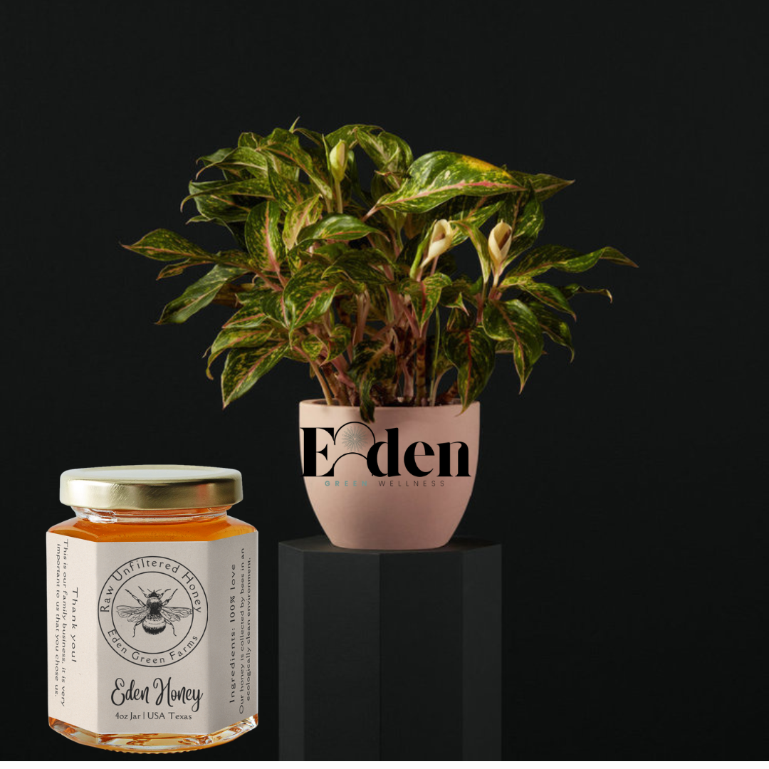 EDEN GREEN RAW UNFILTERED HONEY