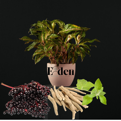 Ashwaghanda Elderberry Tea &amp; Esther&#39;s Oil Hair &amp; Skin, Body