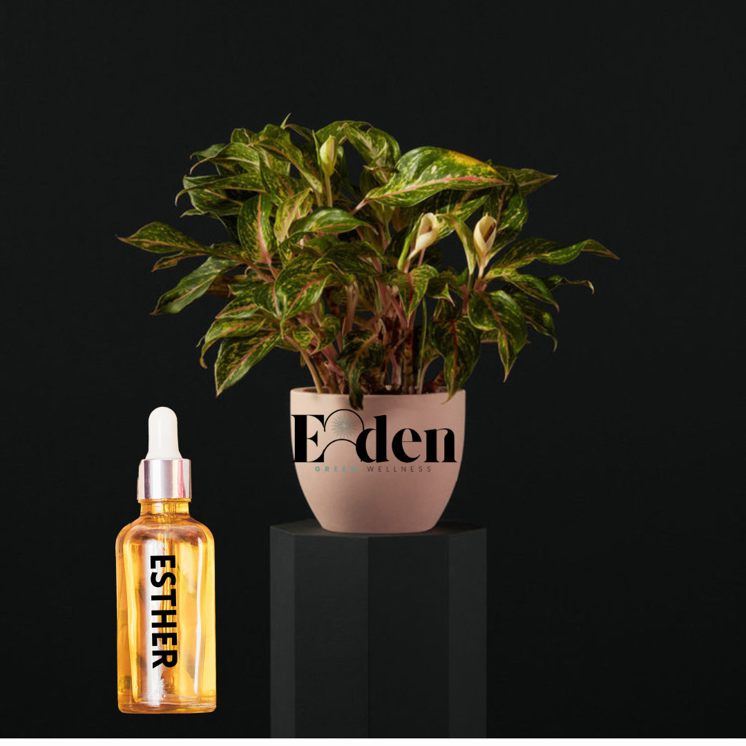 Eden Green Farms ~ Esther’s  Body Oil