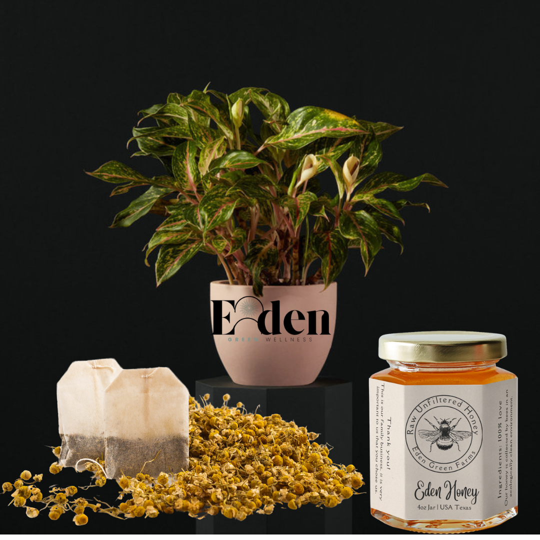Natural Healing Tea Sample Pack
